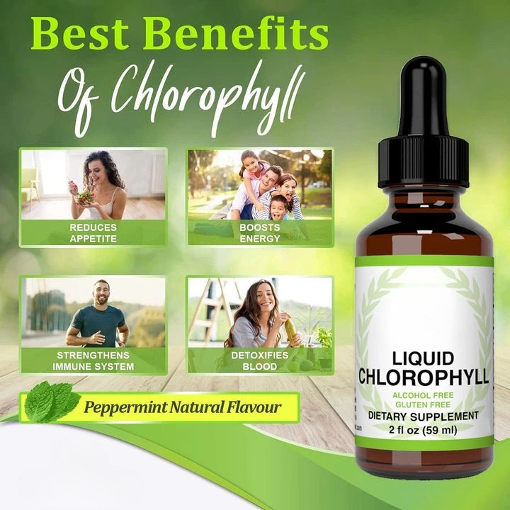 Chlorophyll Liquid Drops – Mint Flavor Supplement, 4 Month Supply