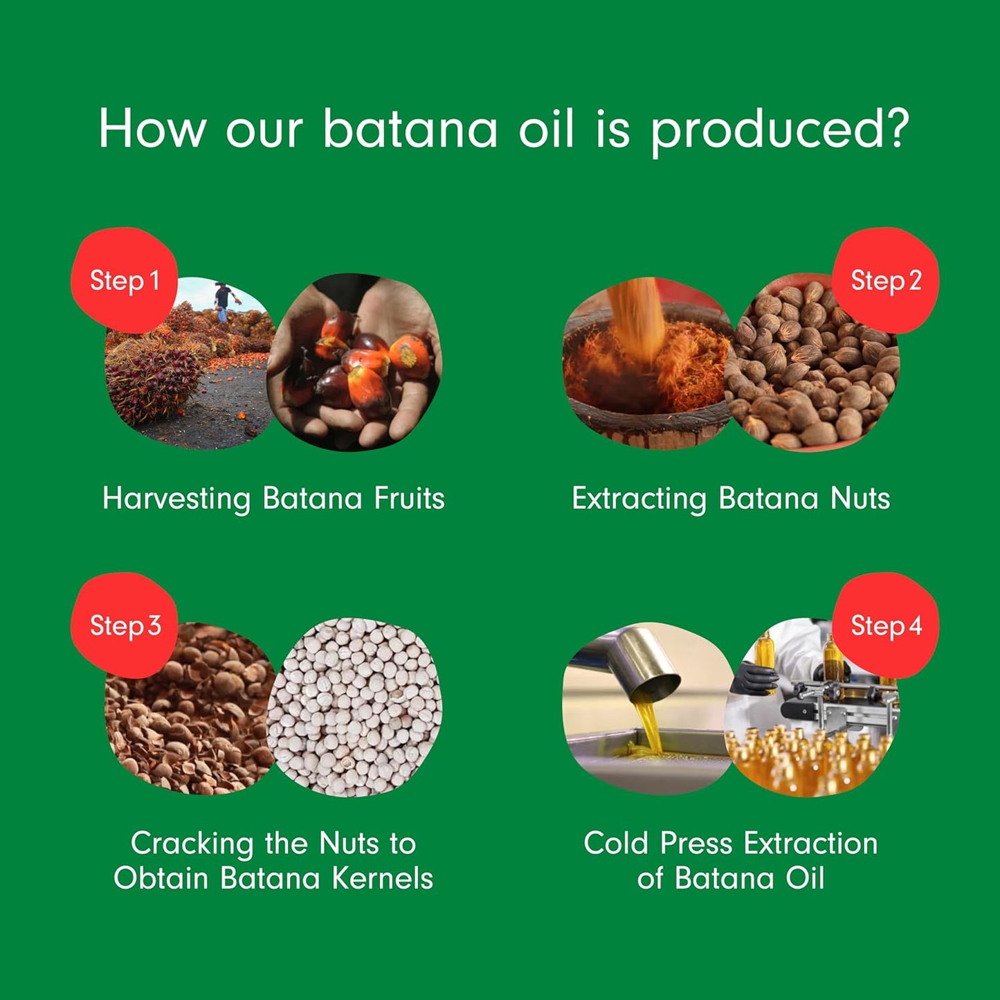 Batana Oil for Hair – 100% Pure Raw Oil from Honduras, 4oz