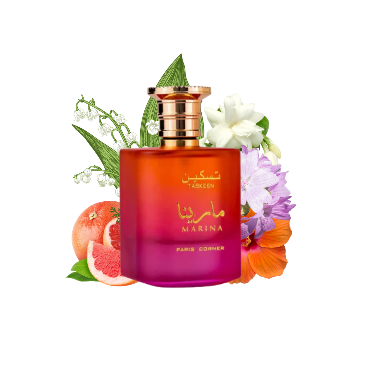 Taskeen Marina by Paris Corner – Unisex Eau de Parfum, 100ml