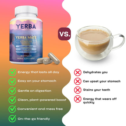 Yerba Mate Capsules – Clean Energy & Focus – 60 Servings