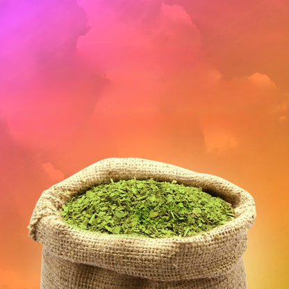 Yerba Mate Capsules – Clean Energy & Focus – 60 Servings