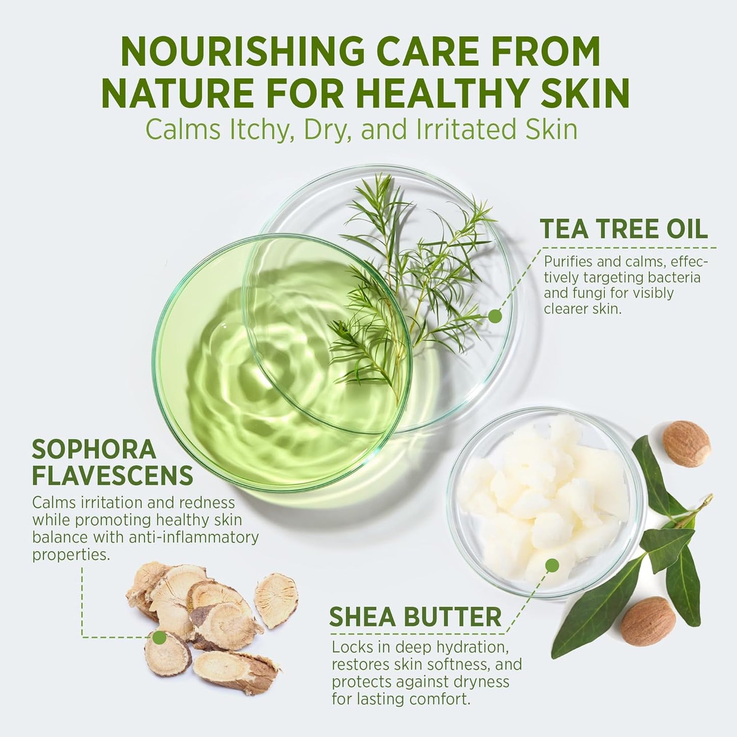 Tea Tree Body Wash – Antifungal & Antibacterial Soap, 16.9oz
