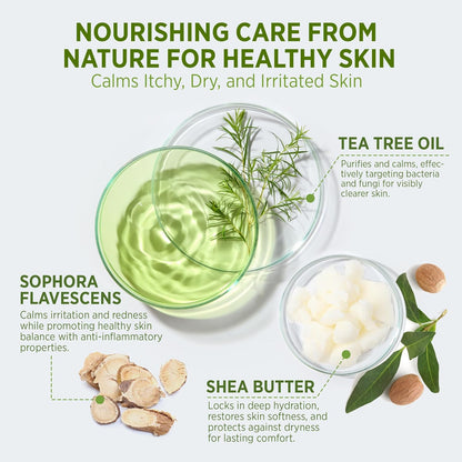 Tea Tree Body Wash – Antifungal & Antibacterial Soap, 16.9oz