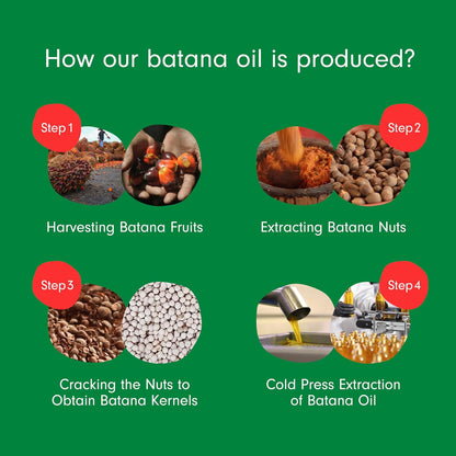 Batana Oil for Hair – 100% Pure Raw Oil from Honduras, 4oz