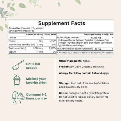 Multi Collagen Peptides Powder – Unflavored, Types I, II, III, V, X