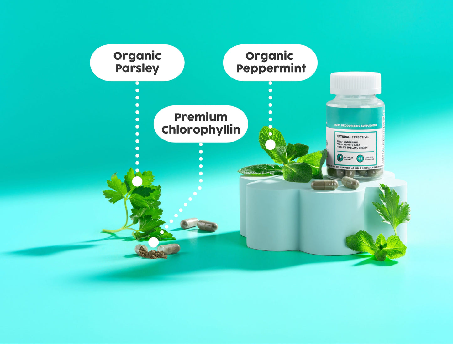 Body Deodorizer Internal Deodorant Supplement - Chlorophyll Pills for Full Body Freshness