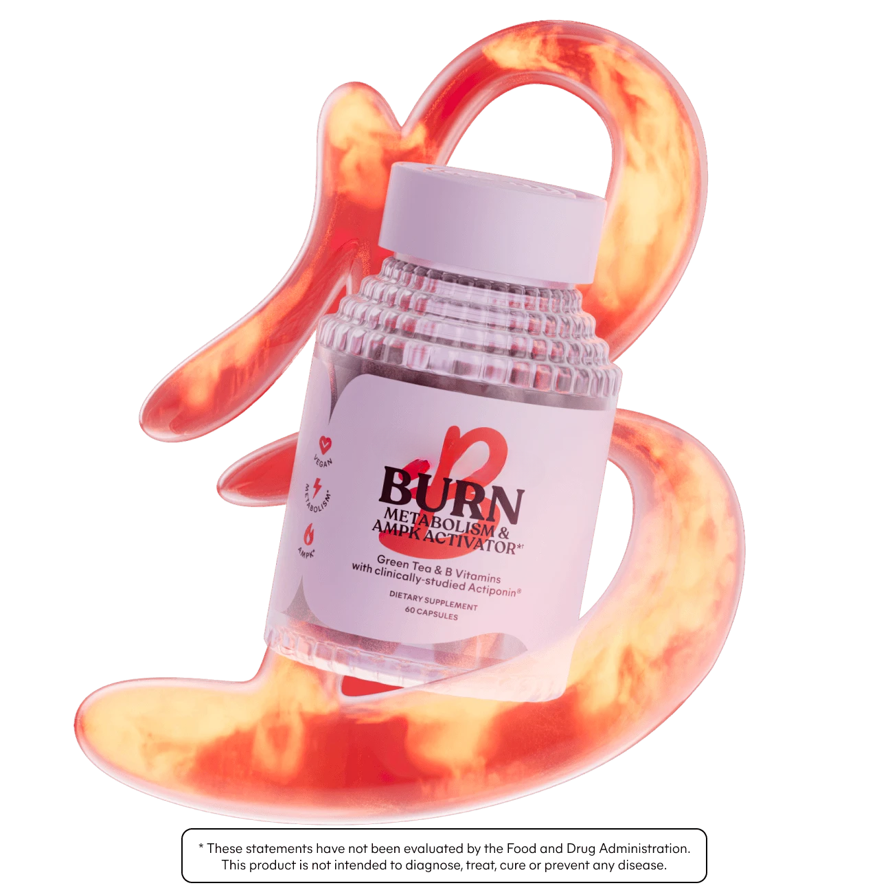 Burn Supplement – Green Tea + Gynostemma Extract, 60 Count
