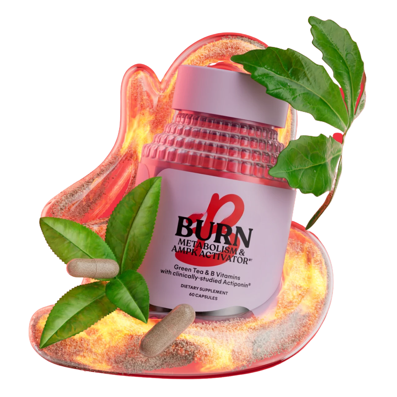 Burn Supplement – Green Tea + Gynostemma Extract, 60 Count