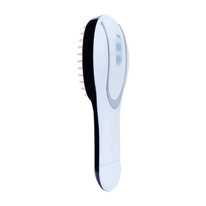 650W 2-in-1 Hair Dryer & Straightener Comb – Smooth Styling with Ionic Technology